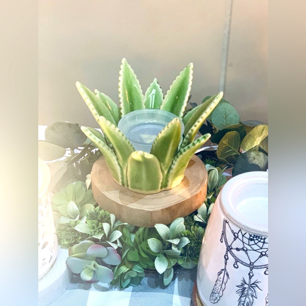 Aloe Vera Scentsy Warmer